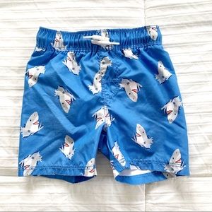 Toddler Swim Trunks